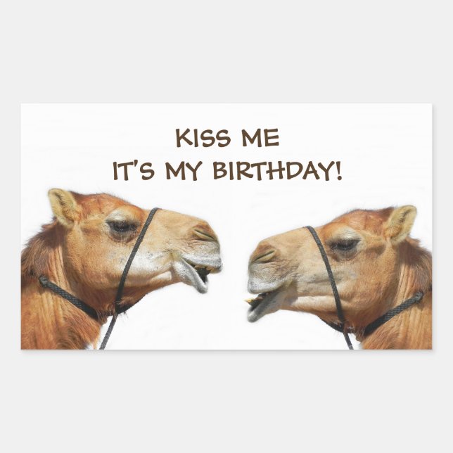 Camels Kissing Funny Sticker (Vorderseite)