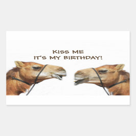 Camels Kissing Funny Sticker