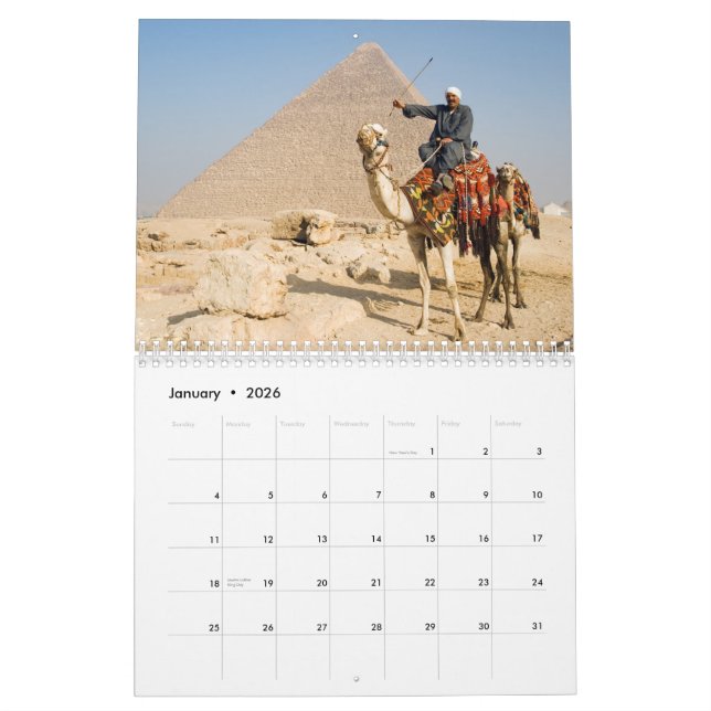 CAMELS Wall Calendar Kalender (Jan 2026)