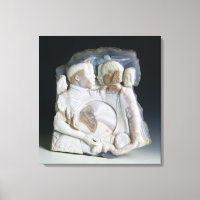 Cameo mit Cosimo de Medici (1519-74) und seinem