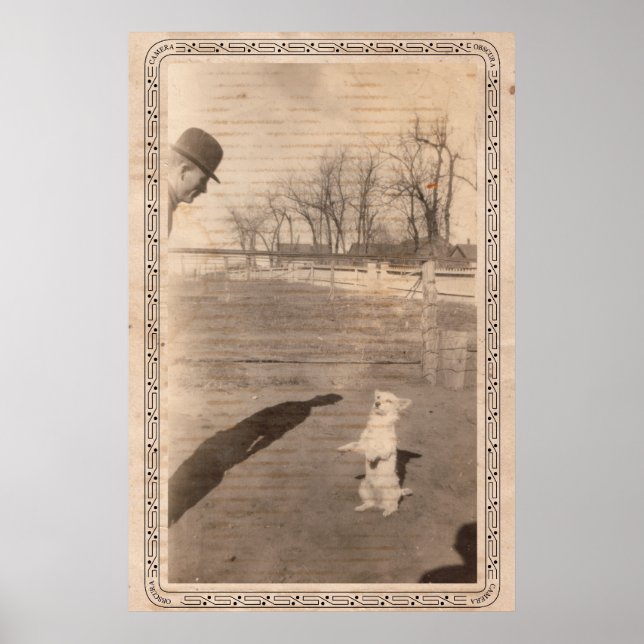 Camera Obscura #351 Poster (Vorne)