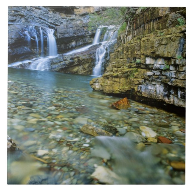 Cameron Falls in Waterton Lake National Park Fliese (Vorderseite)