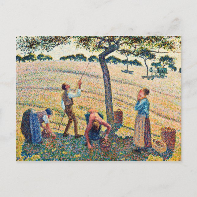 Camille Pissarro - Apple Harvest Postkarte (Vorderseite)