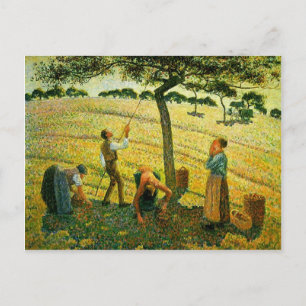 Camille Pissarro - Apple Picking bei Eragny-sur-Ep Postkarte
