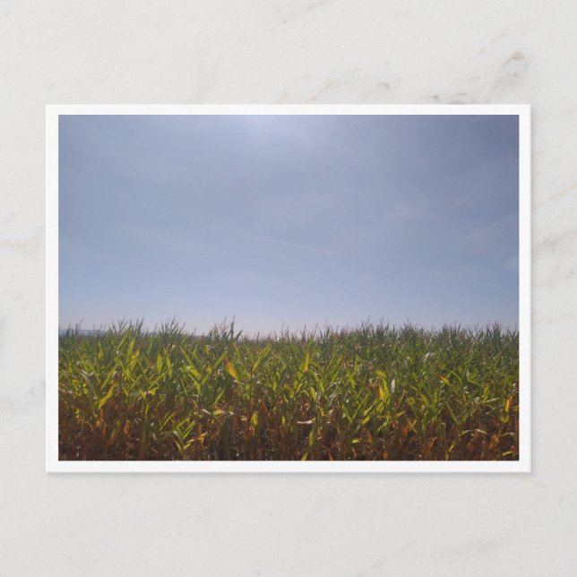 Camino de Santiago del Norte (Spanien) Postkarte (Vorderseite)