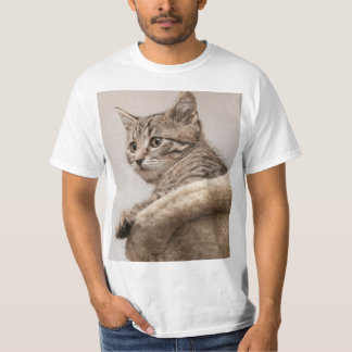 Camiseta gatinho T-Shirt