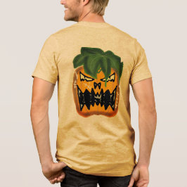 camiseta Tri-Blend shirt