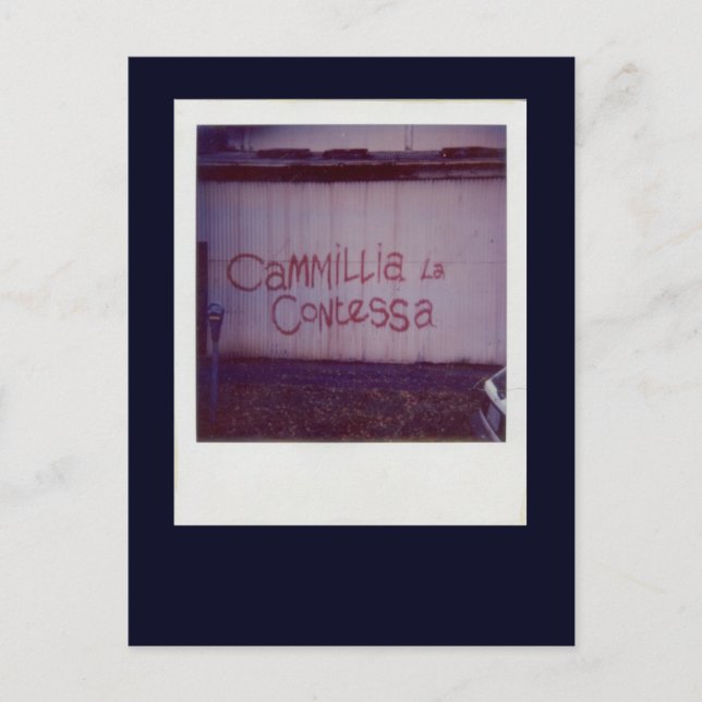 Cammillia la Contessa graffiti in Southbank Postkarte (Vorderseite)