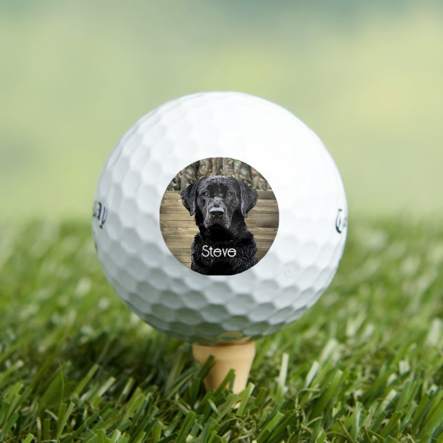 Camouflage Black Lab Hunde Tierbezeichnung Golfball (Insitu T-Shirt)
