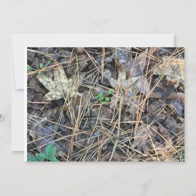 Camouflage Blank Einladungen, Camouflage Einladung (Vorderseite)