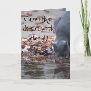 Camouflage funktioniert schließlich nicht karte