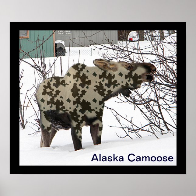Camouflage Moose Poster (Vorne)