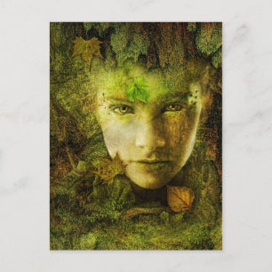 Camouflage Postcard Postkarte