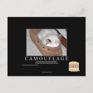 Camouflage Postkarte