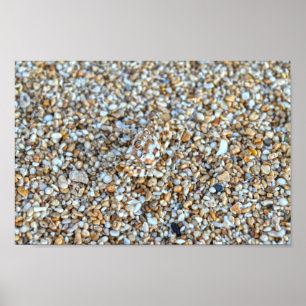 Camouflaged Ghost Crab an einem Kauai Beach, Hawai Poster