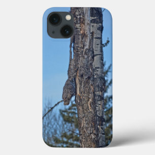 Camouflaged Great Gray Owl and Tree Wildlife Foto Case-Mate iPhone Hülle
