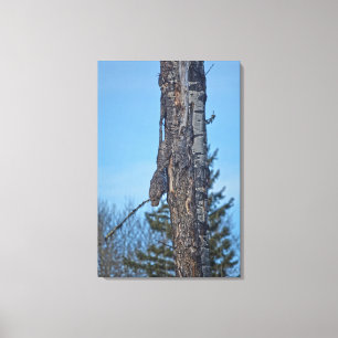 Camouflaged Great Gray Owl and Tree Wildlife Foto Leinwanddruck