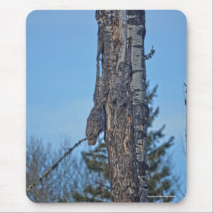 Camouflaged Great Gray Owl and Tree Wildlife Foto Mousepad