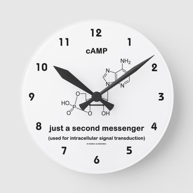 cAMP Molecule nur ein zweiter Messenger Runde Wanduhr (Vorderseite)