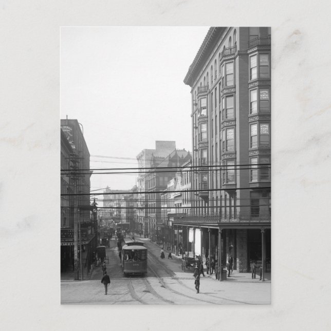 Camp Street, New Orleans: 1906 Postkarte (Vorderseite)