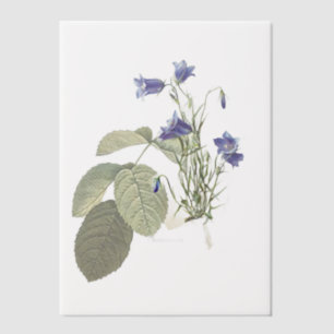 Campanula Bluebell Botanisches Overlay