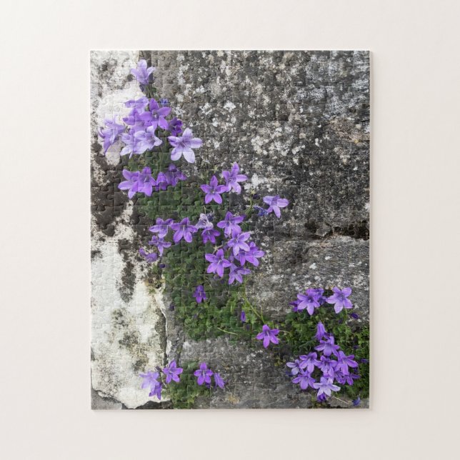 Campanula-Blume wachsen auf einer Mauer Puzzle (Vertikal)