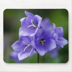 Campanula Mousepad