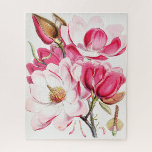 Campbell's Magnolia Puzzle