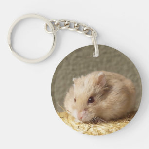 Campbells Zwarf Russischer Hamster, Argente Schlüsselanhänger