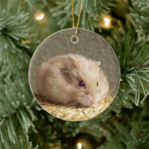 Campbells Zwerg-Russischer Hamster Keramik Ornament