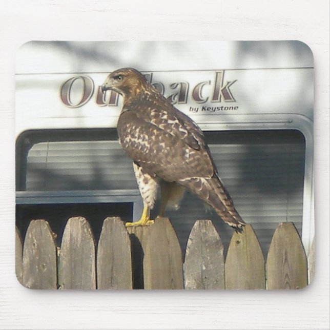 Camping Hawk mousepad (Vorne)