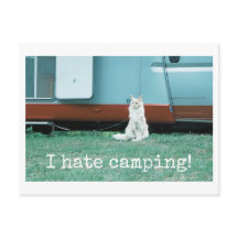 Camping Katze