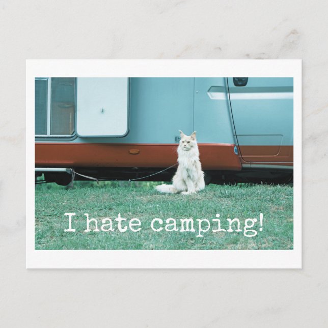 Camping Katze Postkarte (Vorderseite)