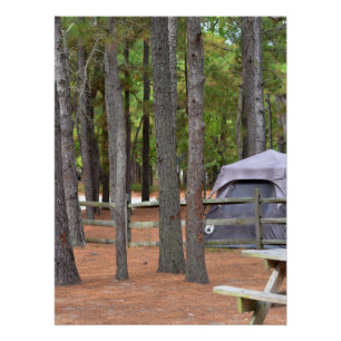 Campingplatz mit Zelt und Zaun im Wald Poster