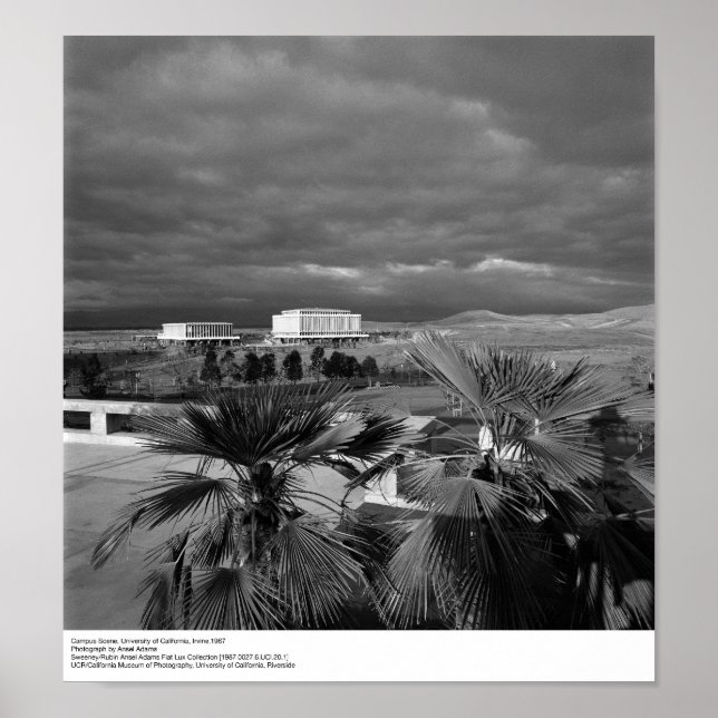 Campus Scene, UC Irvine, 1967 Poster (Vorne)