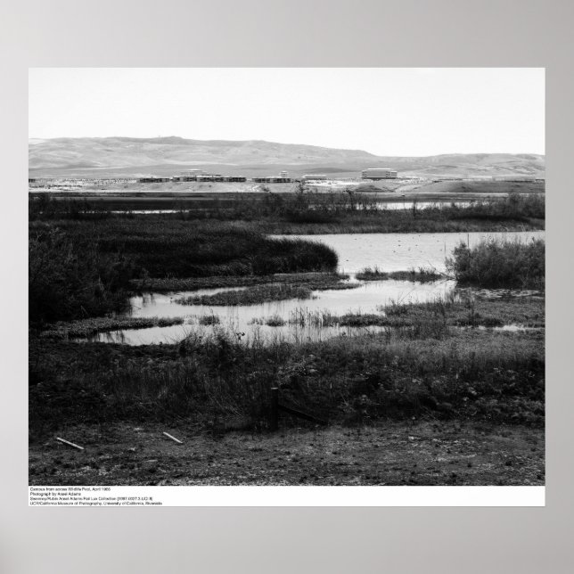 Campus von überall Wildlife Pool, Irvine, 1967 Poster (Vorne)