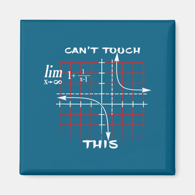 Can T Touch This Equation Math Funny Gift  Magnet (Vorne)