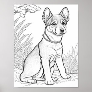 Canaan Dog Aduloring Poster