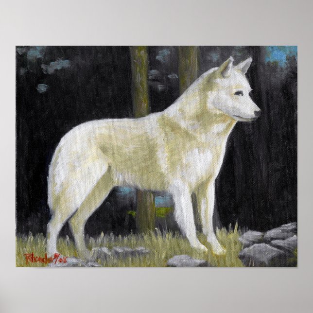 Canaan Dog Portrait Poster Print (Vorne)