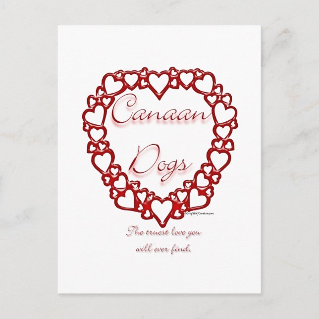 Canaan Dog True Love Postkarte (Vorderseite)