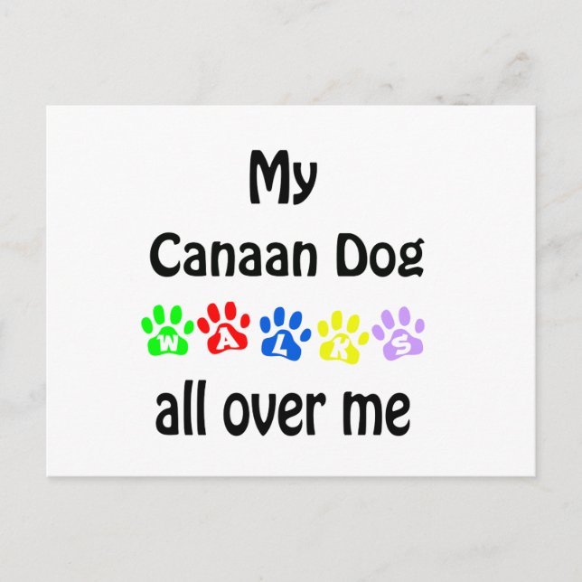 Canaan Dog Walks Design Postkarte (Vorderseite)