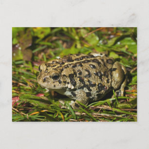 Canada 2 postkarte