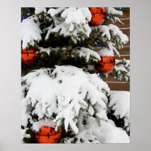 Canada, Alberta, Jasper, Jasper NP. Fairmont 2 Poster