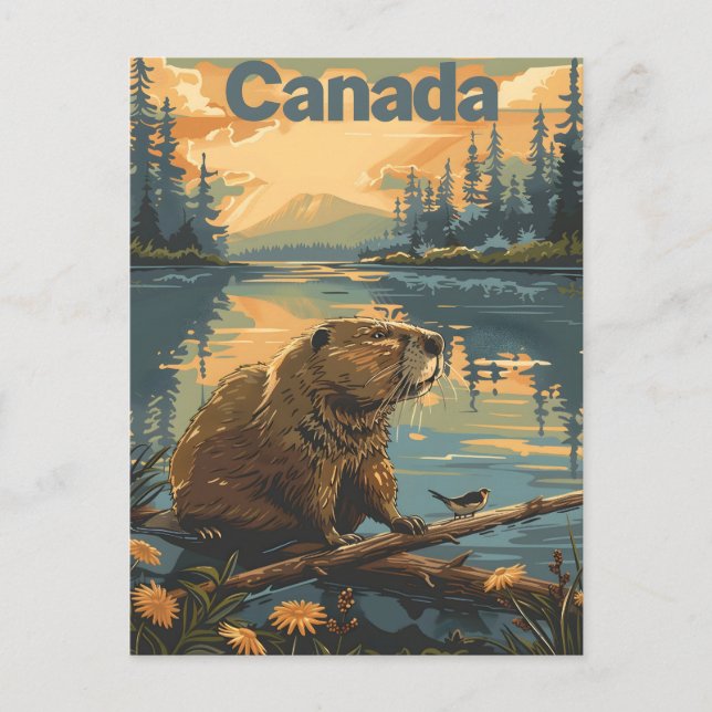 Canada Beaver Postkarte (Vorderseite)
