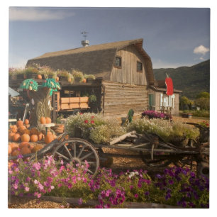 CANADA, British Columbia, Enderby. Logbuch Fliese