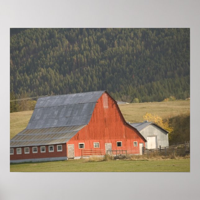 CANADA, British Columbia, Enderby. Roter Stall / Poster (Vorne)