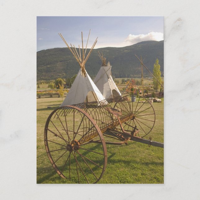 CANADA, British Columbia, Enderby. Tepees Postkarte (Vorderseite)