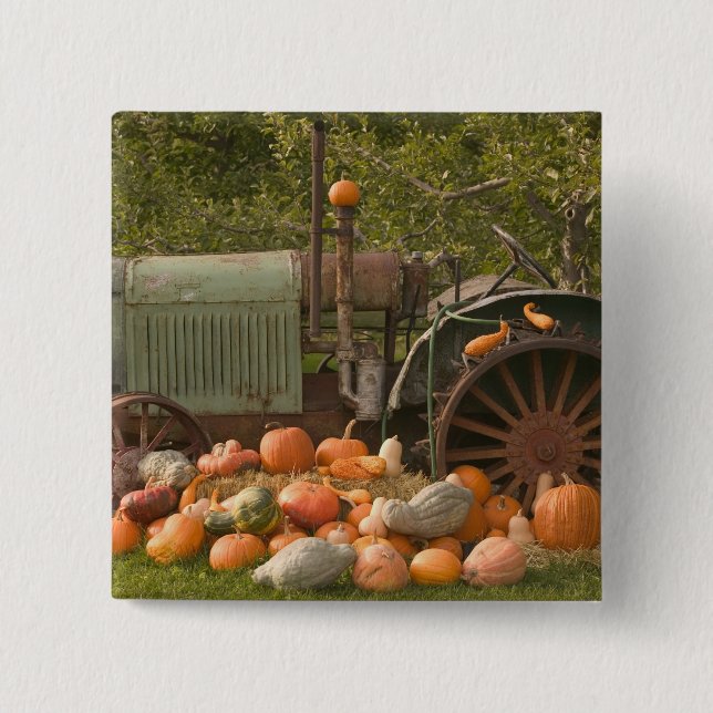 CANADA, British Columbia, Keremeos. Herbst / 2 Button (Vorderseite)