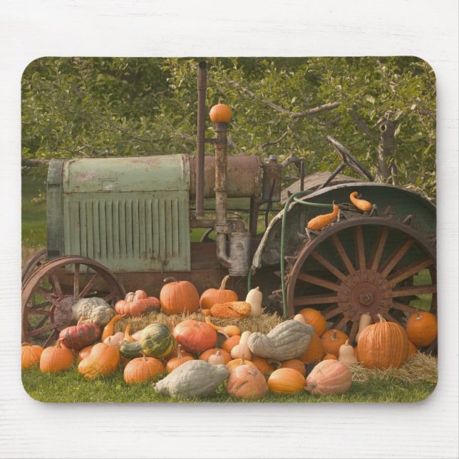 CANADA, British Columbia, Keremeos. Herbst / 2 Mousepad (Vorne)