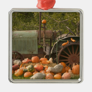 CANADA, British Columbia, Keremeos. Herbst / 2 Ornament Aus Metall